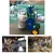 Single Bucket Piston Type Milking Machine with 0.75HP motor
